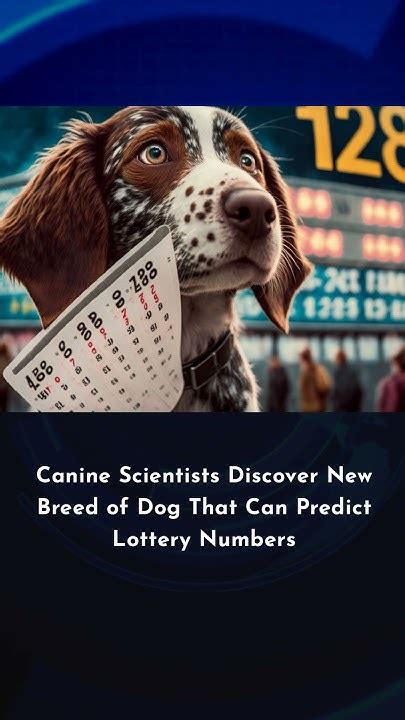 lottery number for dog|Number for Dogs .